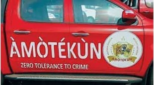 Amotekun chairman advocates for state police to tackle insec