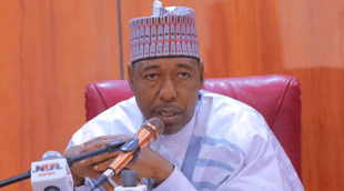 Borno Arabic, Sangaya Board Gets New Executive Secretary