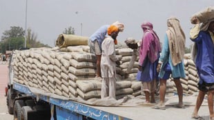 Housing Minister decries incessant hike in cement price
