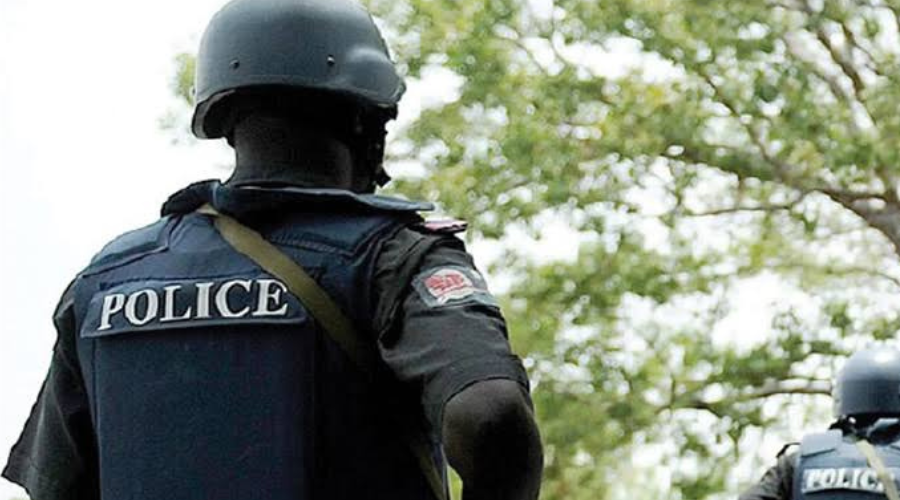 Bauchi Police Arrests Motorcycle Thief 