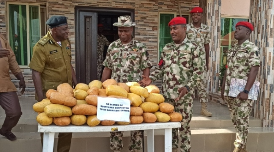 Yobe: Army Hands Over Cannabis Worth ₦4.9 Million To NDLEA