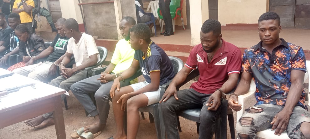 120 Suspects Arrested, 14 Kidnap Victims Rescued In Enugu 