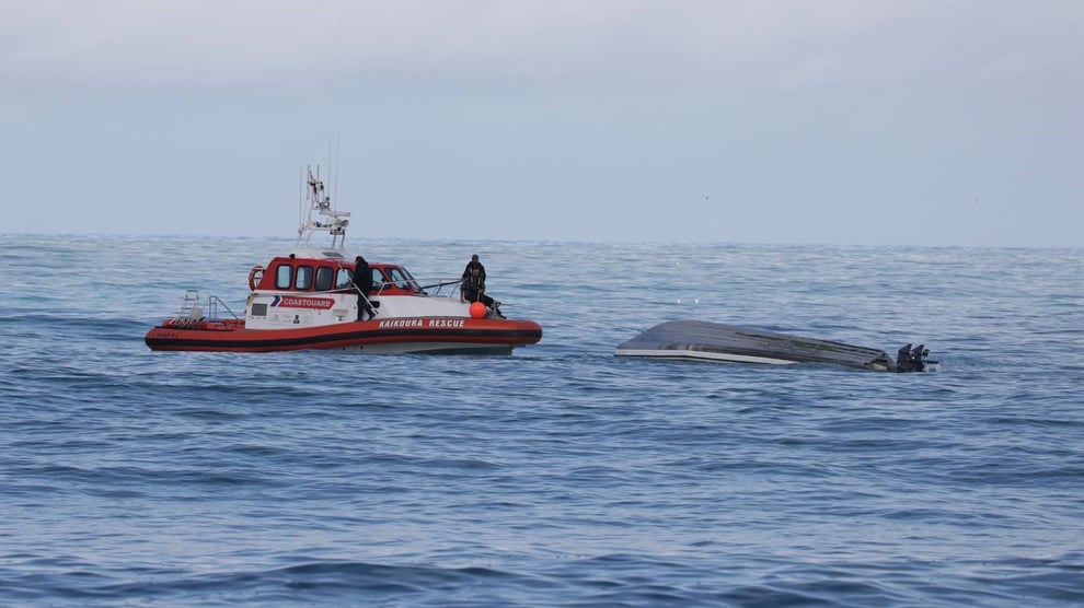 Five Dead As New Zealand Boat Collides With Whale
