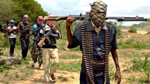 Bandits kill dozens of vigilantes following ambush in Niger