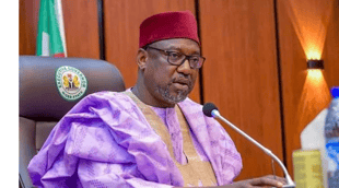 Boat Mishap: Niger Governor Commiserates With People Of Lavu