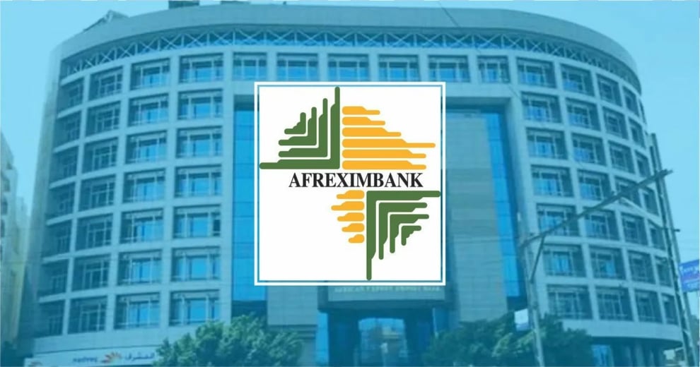 Ganic Foods Receives N16.56 Billion From Afreximbank