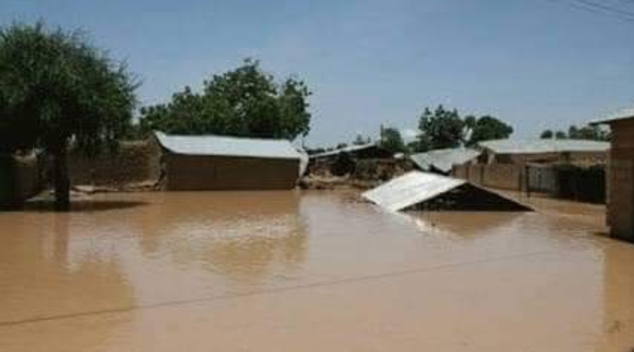 Thirty Seven Dead, 58 Injured In Adamawa Flood