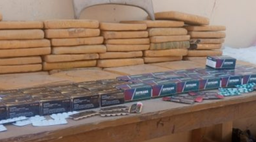 NDLEA Siezes Tons Of Drugs In Katsina 
