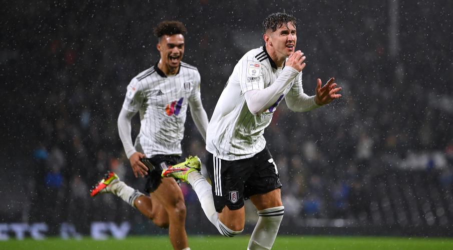 EFL: Fulham Moves To Second With Win Against Cardiff