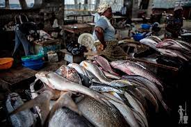 Fish Traders Decry Low Supply Of Fish In Ikorodu