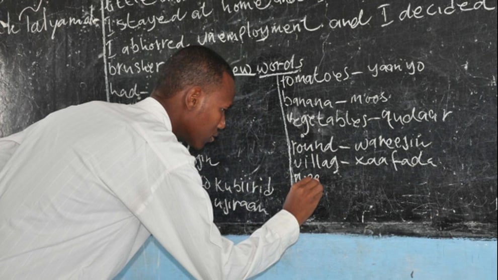 NGO Recruits 178 Volunteer Teachers in Yobe, Borno