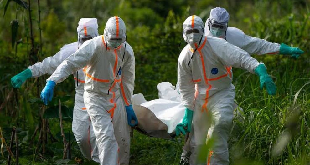 Marburg Virus: Equatorial Guinea Records 11 Casualties