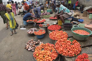 Food crisis: Imo monarch advises Igbos to go back to farming