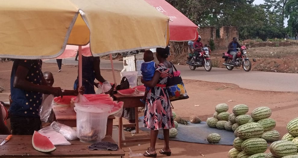 Uganda: Nine Students Arrested Over Theft Of Watermelons