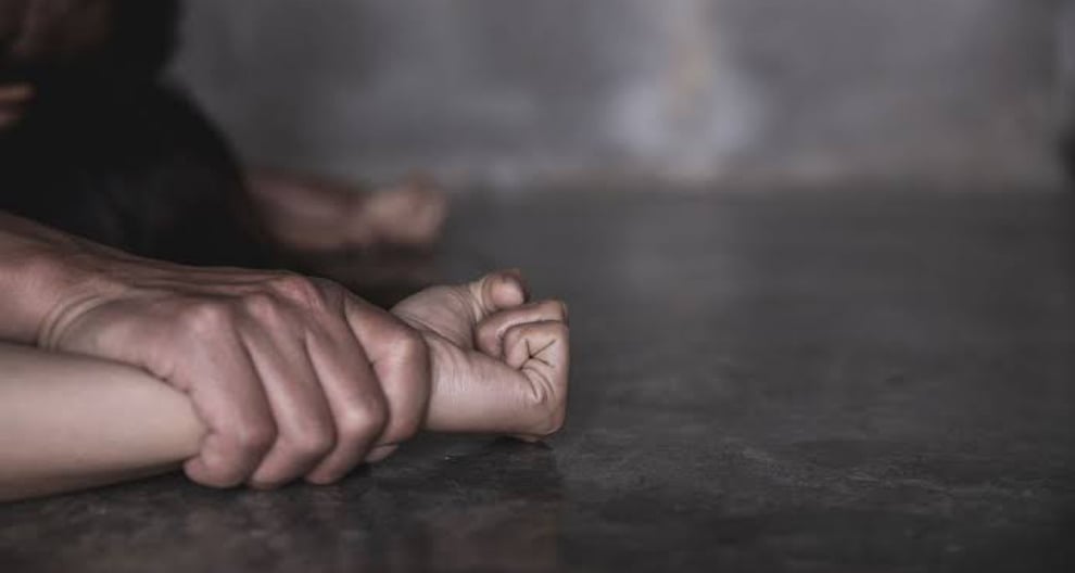 South Africa: Grandfather Of Raped 18-Year-old Girl Recounts