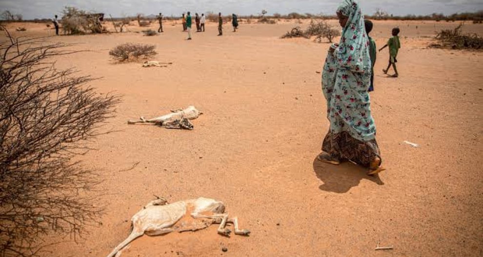 Somalia Drought Causing Catastrophic Emergency - UN 