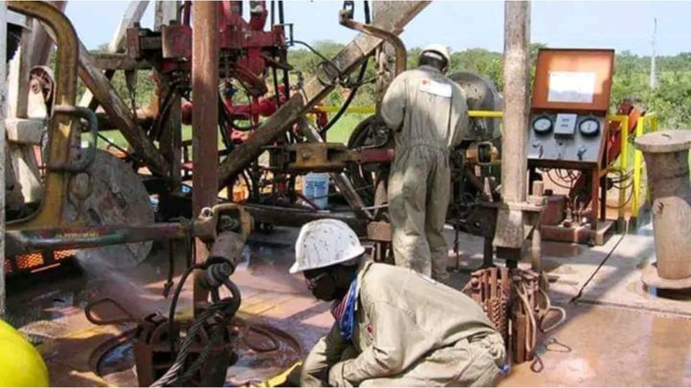 Borno Joins Oil-Producing States As Drilling Begins In Wadi-
