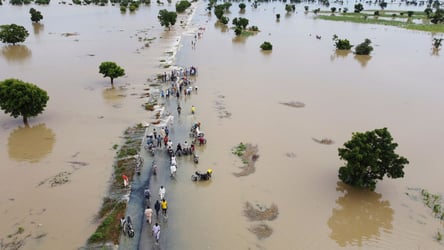 Flood: Declare Our Land Disaster Zone, Ijaw Diaspora Council