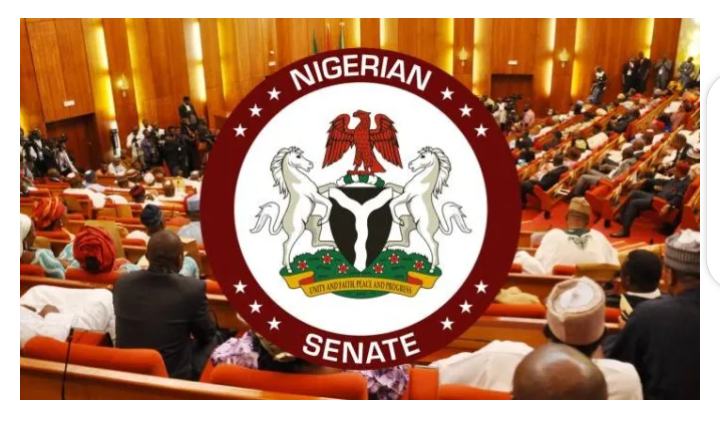 Senate Approves Buhari's $16.2bn, €1.02bn Loan Requests