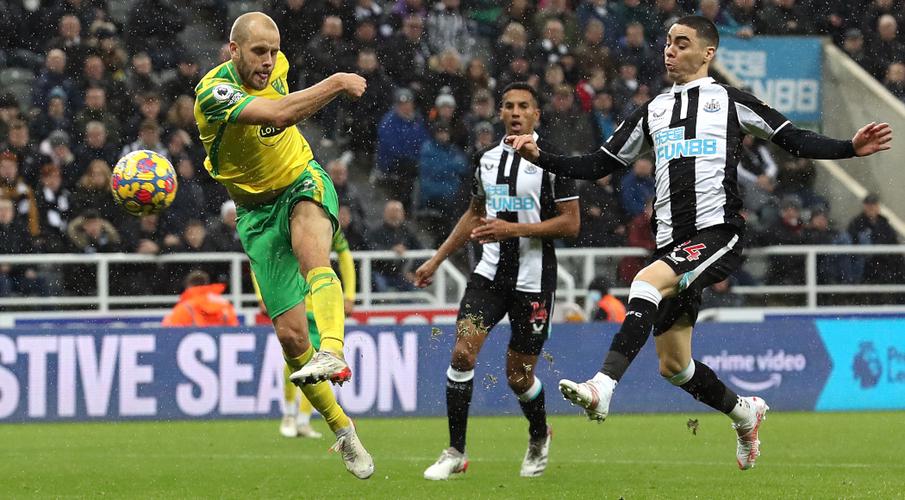 EPL: Pukki Rescues Point For Norwich In 1-1 Draw At Newcastl