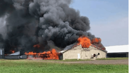 Plateau: Protesting youths burn down poultry farm