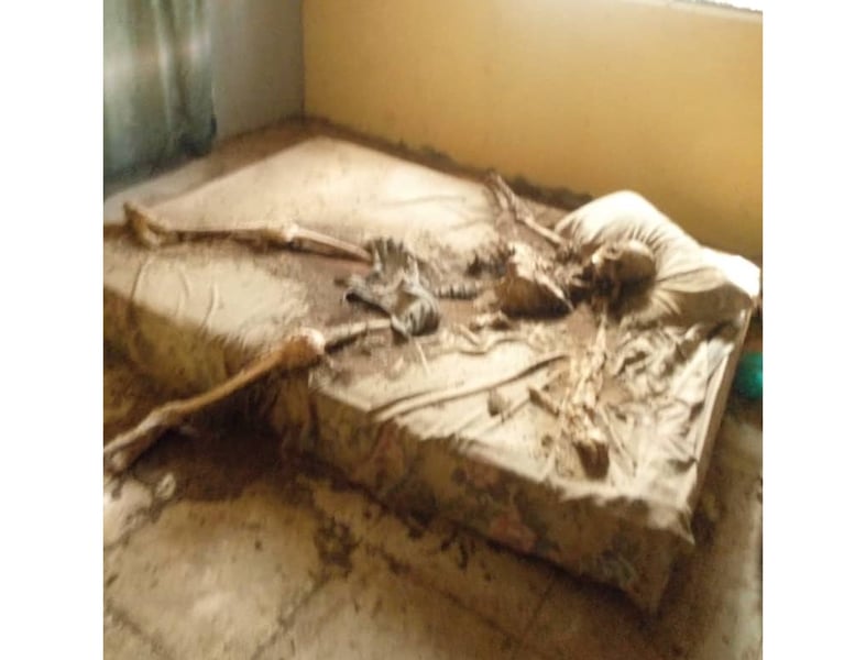Skeletal Remains Discovered In Ibadan Four Years After Demis