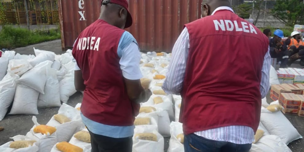 NDLEA Siezes Illicit Drugs In Six States