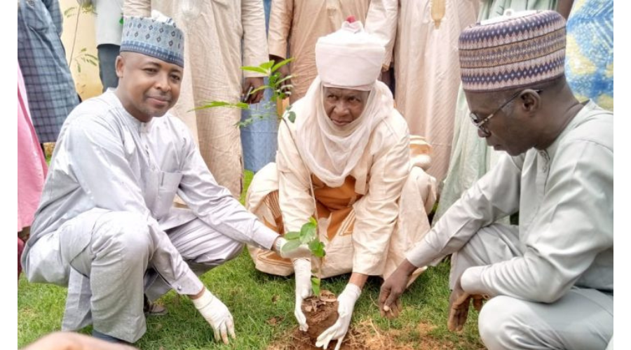 Climate Change: Kano To Plant Three Million Trees