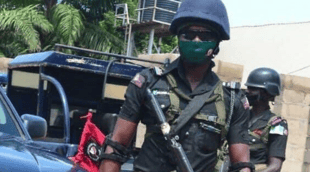 Benue: Police Arrests 30 Over Weekend Bloody Cult Clash In G