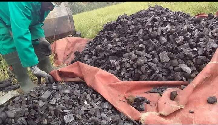 Nasarawa Government Bans Charcoal Production, Trade  