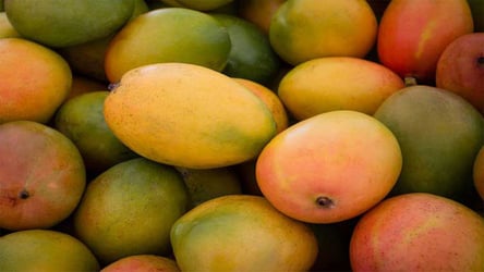 Dietician urges Nigerians to eat mangoes with the skin to ge