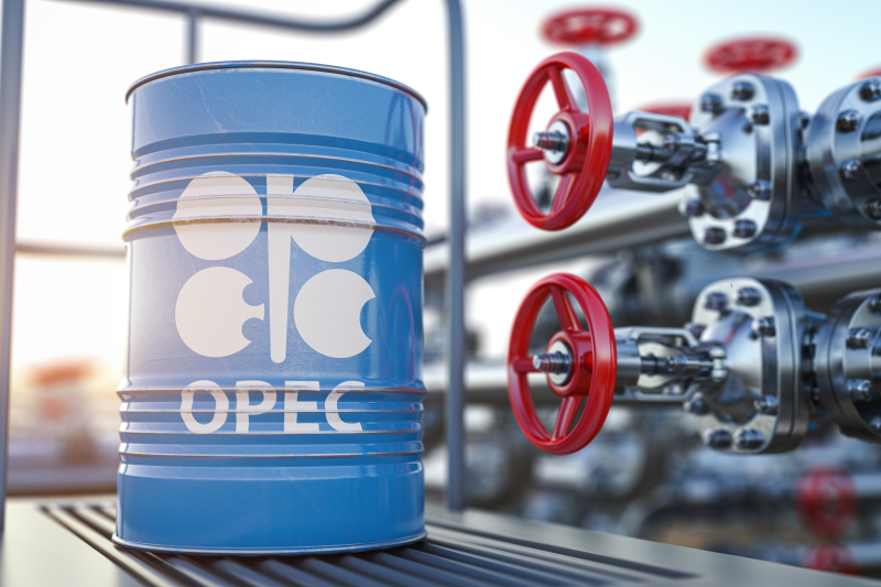 OPEC Daily Basket Price Now $113.39 Per Barrel