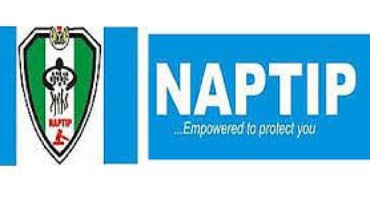 NAPTIP Calls For Media Partnership To Curb Human Trafficking