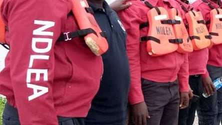 NDLEA Arrests Grandmother, Pregnant Woman, Others With 5,527