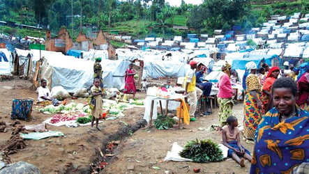 FG set to evacuate Boko  Haram refugees in Cameroon, others 