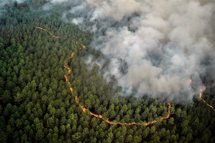 Europe’s Droughts, Heatwaves Put Focus On Climate Change R