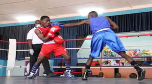 African Boxing Championships: Three Nigerians Through To Sem