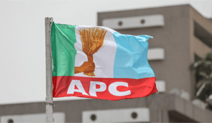 APC allocates Ebonyi south senatorial seat to Onicha LGA