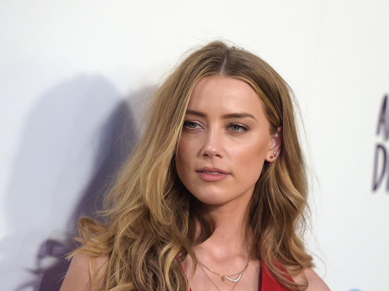 How Amber Heard Lied About Donating Johnny Depp’s Divorce 