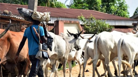 Youths Give Herdsmen 48 Hours To Vacate Imo Community Over A