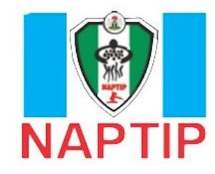 NAPTIP cautions Nigerians over fake high-paying jobs luring 