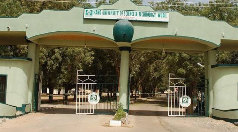 Kano Renames State University After Aliko Dangote 