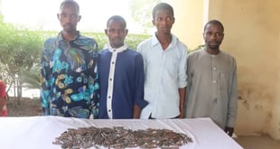 Niger: Four paraded by police for possession of 295 live amm