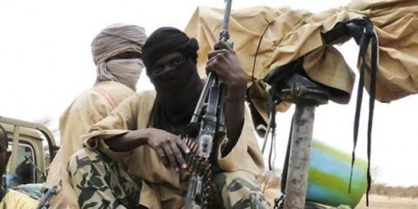 ISWAP Members Abduct Health Worker In Borno