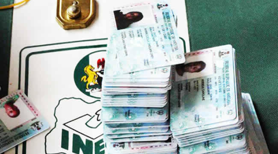 320 PVCs Found By Hunters In Bayelsa Forest