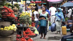 Climate change threatening food security —FG