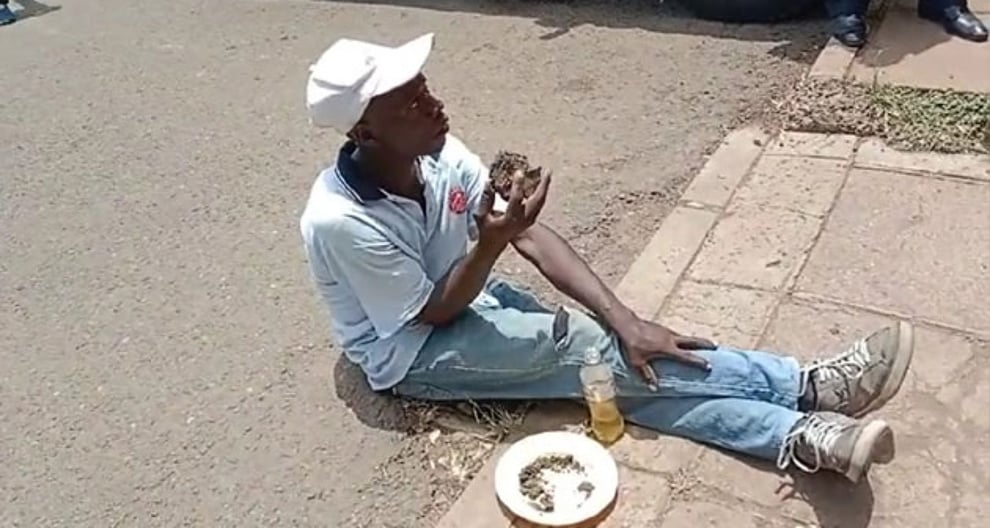 Kenyan Protester Munches On Cow Dung, Juice