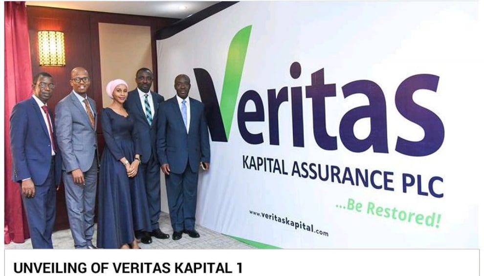 Veritas Kapital Insurance Plc Appoints Director