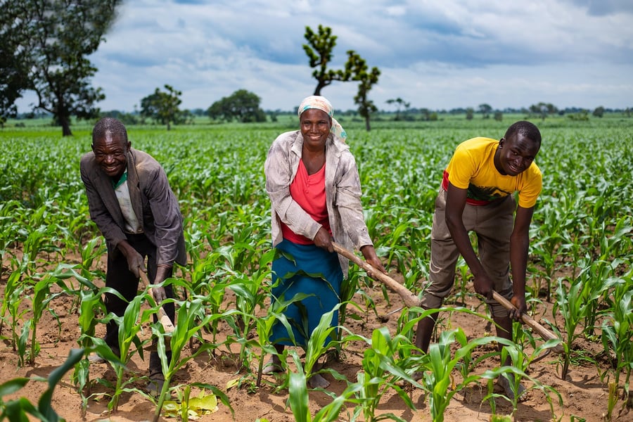 Farmers Call For Speedy, Effective Implementation Of Agricul