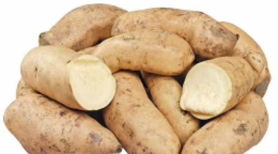 Kwara Trains 40 Women On Potato Production